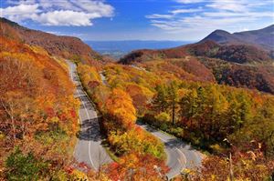 Cung đường đẹp bậc nhất Nhật Bản mùa thu.