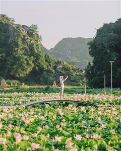 Các homestay ngắm mùa sen ở Ninh Bình