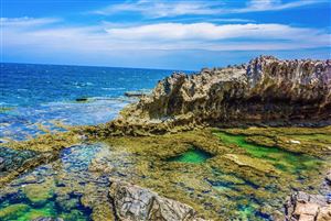 Khám phá 03 điểm san hô cổ nổi tiếng tại Ninh Thuận.