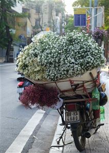 Hà Nội vào đông