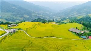 Hà Giang: Xà Phìn (Vị Xuyên) thu hút khách du lịch trong “Mùa Vàng”