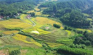 Khám phá Bình Liêu (Quảng Ninh) qua tour ngắn ngày