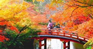 Nhật mở rộng cửa với khách du lịch