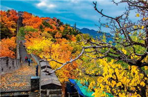 Đi Bắc Kinh mùa nào đẹp? Tiết lộ thời điểm vàng cho chuyến chu du