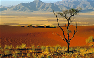 Khám phá cảnh quan sa mạc Namibia - nơi có những đụn cát cao tới 300m