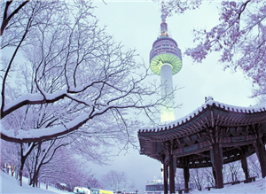 Bí quyết du lịch mùa đông Hàn Quốc phủ đầy tuyết trắng