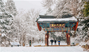 ĐẢO NAMI MÙA ĐÔNG – KHUNG CẢNH LÃNG MẠN TỪ “BẢN TÌNH CA MÙA ĐÔNG”