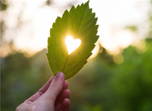 Hạnh phúc đáng giá bao nhiêu