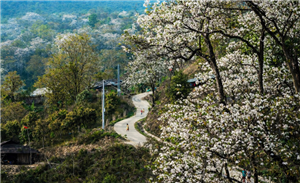 Vừa đầu tháng 3, Vietnam Airlines bất ngờ tăng thêm chuyến bay đến 1 địa điểm phía Bắc vì lý do đặc biệt