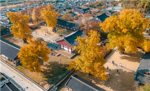 Làng Hanok Jeonju bên những mái ngói đậm màu sắc hoài niệm