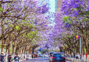 Đi tour Đại Lý Côn Minh khám phá phố cổ nghìn năm & tuyệt cảnh Vân Nam