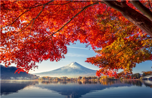 Khám phá hồ Kawaguchi tuyệt đẹp dưới chân núi Phú Sĩ