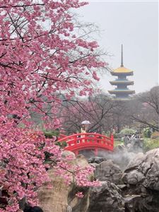 Trung Quốc 4 mùa đi đâu?