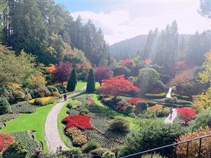 Thăm Butchart Gardens - Vườn địa đàng hạ giới của Canada