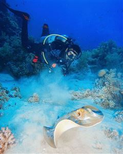 Lạc trôi đến đảo Tiran Ai Cập lặn biển và ngắm xác tàu đắm