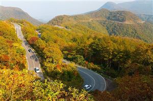 HOKKAIDO MÙA THU – TOP 8 ĐIỂM NGẮM LÁ ĐỎ ĐẸP NHẤT