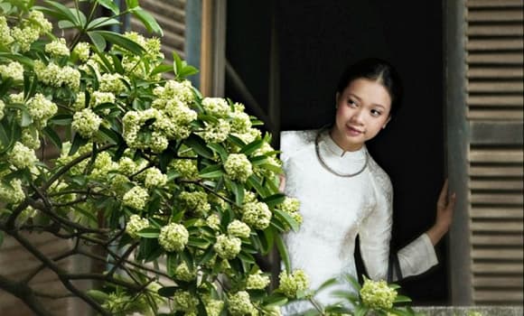 00-mua-thu-ha-noi-1.jpg 1 top điểm đến mùa thu đẹp nhất châu Á, Hà Nội