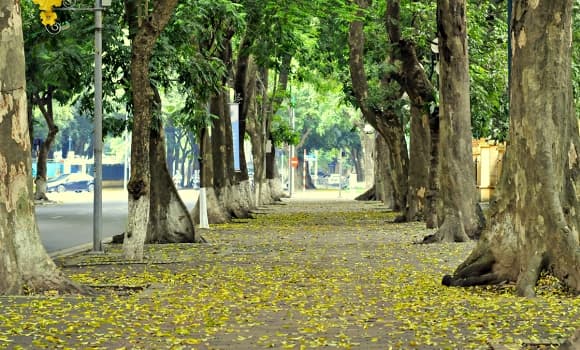 00-mua-thu-ha-noi-1.jpg 2 top điểm đến mùa thu đẹp nhất châu Á, Hà Nội
