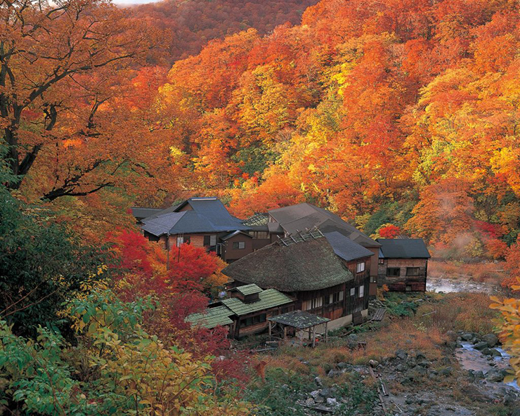 10 địa điểm ngắm lá đỏ đẹp nhất Nhật Bản, mùa thu này không thể bỏ lỡ - 2