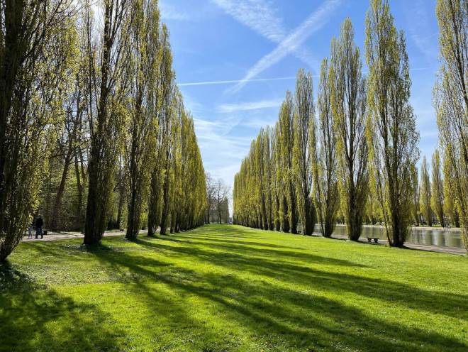 Mê mẩn sắc hoa anh đào ở Parc de Seaux, Paris - 10