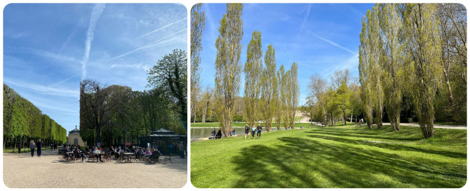 Mê mẩn sắc hoa anh đào ở Parc de Seaux, Paris - 12