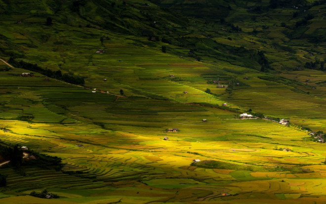 Mù Cang Chải, những mùa thương - 5