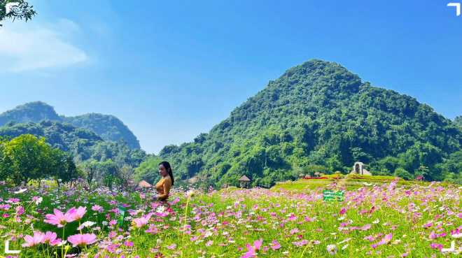 Thung lũng hoa Ninh Bình nở đẹp lắm rồi! - 2