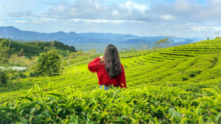 Mộc Châu tháng 4 có gì để du khách thương nhớ? - 1