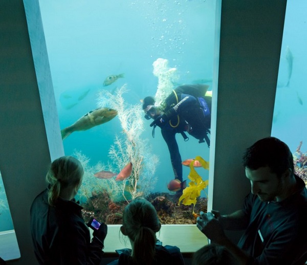 Đài quan sát dưới nước.