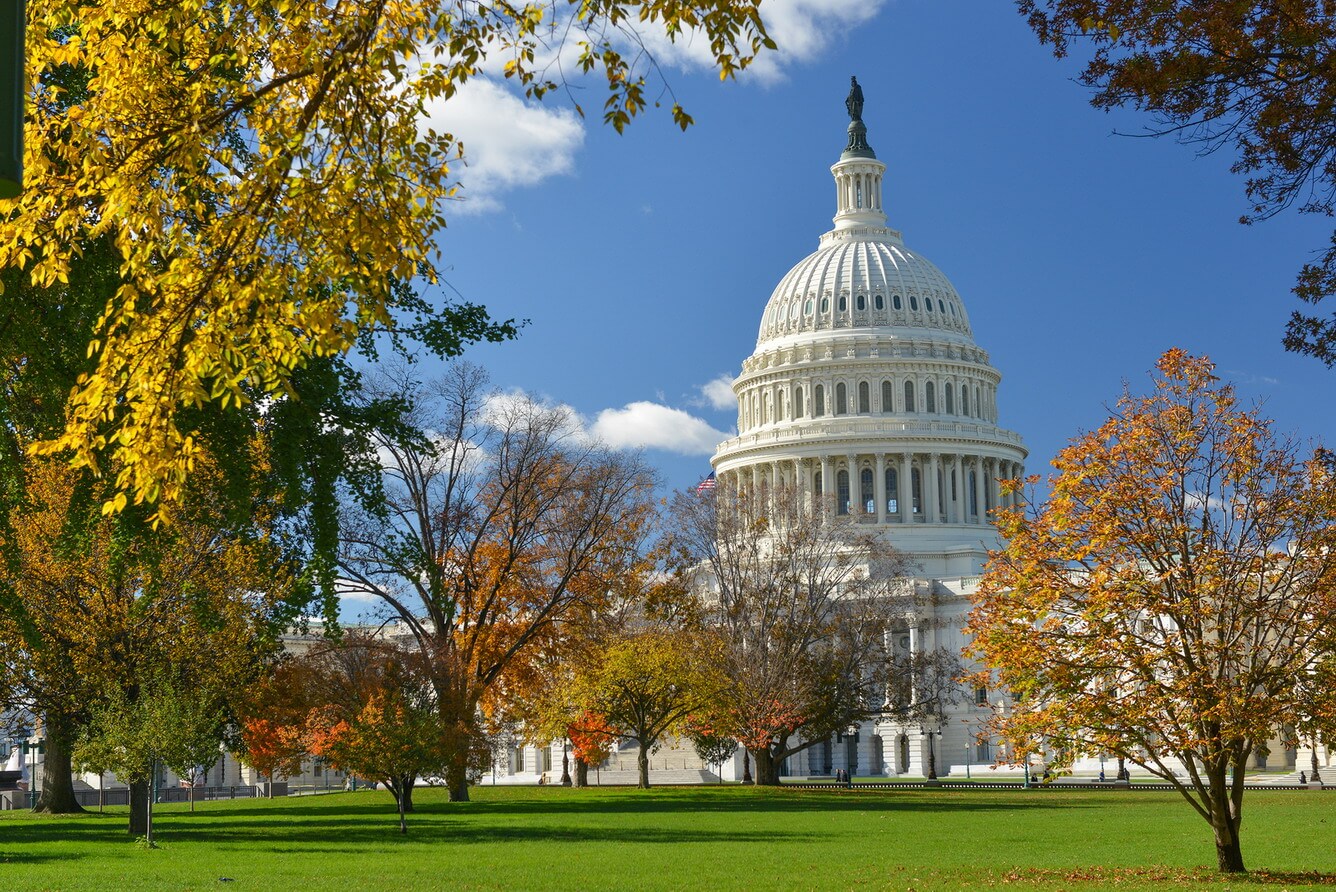 Du Lịch Washington: 8 Điểm Đến Hấp Dẫn Không Thể Bỏ Qua