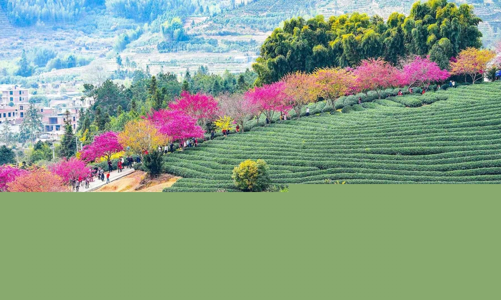 Mùa nào Phúc Kiến cũng có vẻ đẹp rất riêng