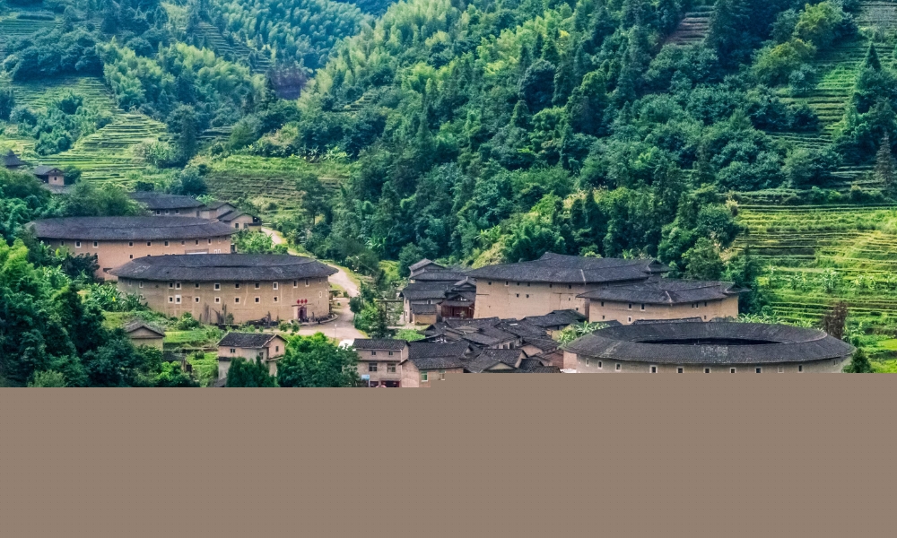 Núi Vũ Di sẽ là điểm đến phù hợp với những ai yêu cây cối và động vật