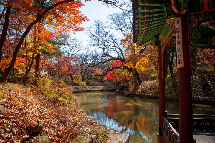 Cung điện Changdeokgung & Secret Garden là nơi du khách thưởng ngoạn mùa lá đỏ Hàn Quốc và kiến trúc văn hóa