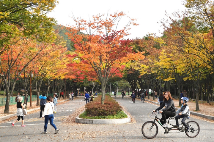 Du khách chiêm ngưỡng sắc thu tuyệt đẹp, một khung cảnh hùng vĩ và lãng mạn tại công viên Incheon
