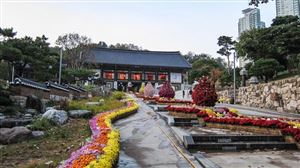 Chùa Bongeunsa - Chốn hành hương tĩnh lặng giữa lòng thủ đô sầm uất Seoul