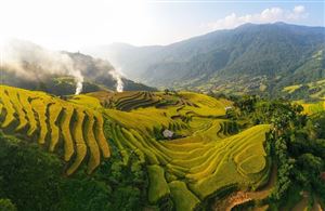 Mùa vàng bình yên trên đỉnh Cao Bồ, Hà Giang