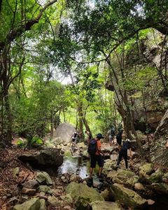 Johannesburg trải nghiệm nhịp sống Nam Phi rực rỡ