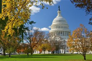 Đi đâu ở Washington D.C vào mùa hè? 5 địa điểm không thể bỏ lỡ