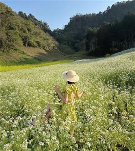 Top 9+ vườn hoa Tết đẹp ở Huế 2026: Cứ đứng vào là có ảnh đẹp mang về!